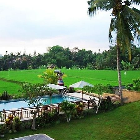 Nyoman Karsa Bungalow Ubud Eksteriør bilde